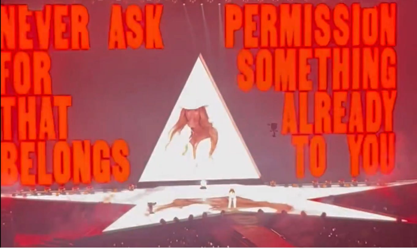 Beyoncé Took The Flag Back - by Sari Beth Rosenberg