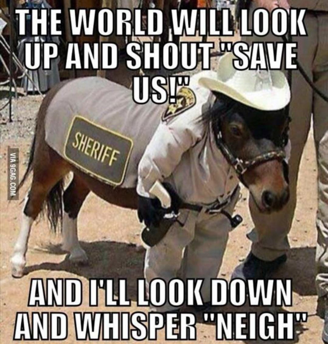 "NEIGH" : SmoothBrainHumor