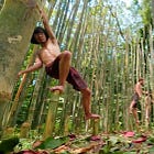 Australian Survivor Report Card - Brains v Brawn 2 - Episode 24