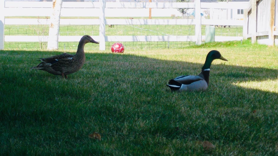 What if&hellip;The Mystery of Israel