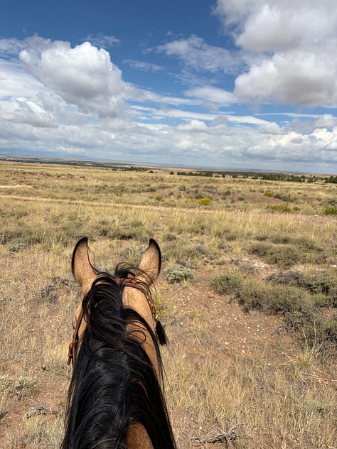 Images of the author’s time hiking, horseback riding, camping, fihsing, etc. in and around Laramie, WY