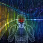 The Neuroscience of the Spectocracy
