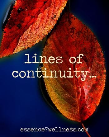 lines of continuity... 1