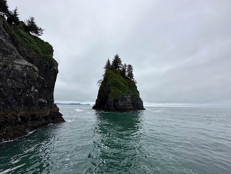 Six scenes from the Kenai Fjords tour with water, cliffs, whales, sea lions and birds.