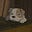 mzhao8's avatar