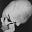 theylivehomocapensis's avatar
