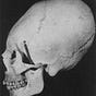 theylivehomocapensis's avatar