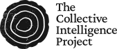 Collective Intelligence Project