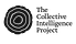 Collective Intelligence Project