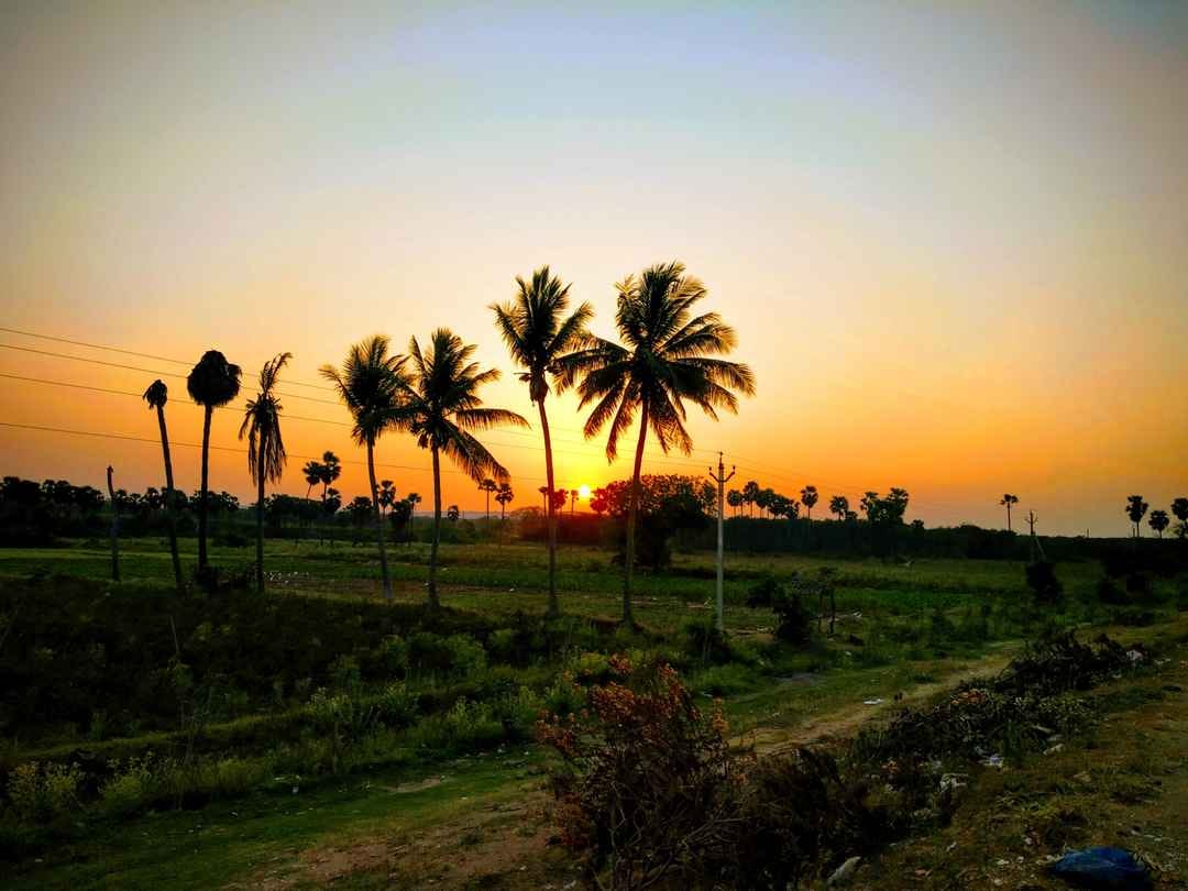 An unseen beauty of Bhimavaram - Road Trip offbeatbhimavaram - Tripoto