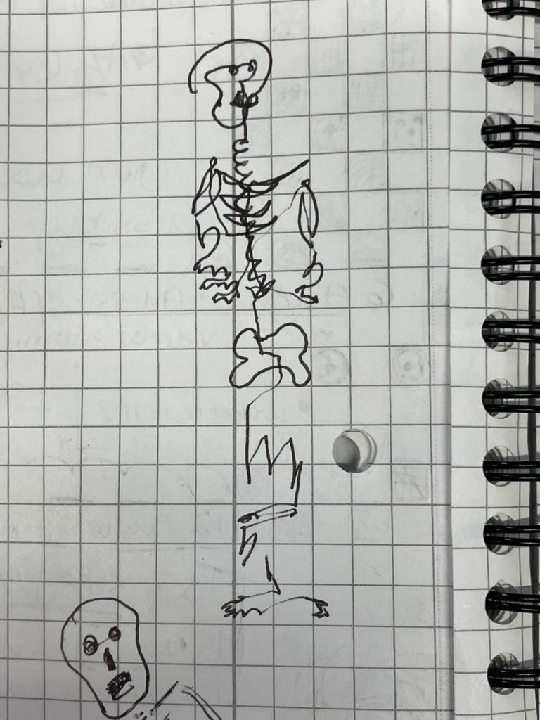 Skeleton drawing