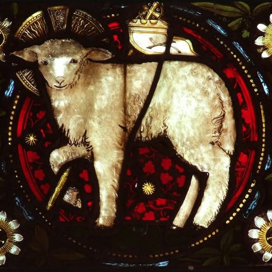 Watching the Lambs