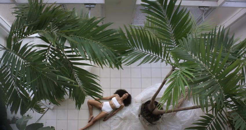 SOLANGE KNOWLES — SHIONA TURINI
