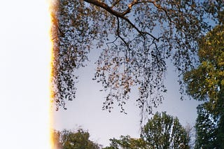 Life, A Series of Experiments | Nathaniel Drew | Substack