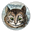 Cheshire's avatar