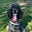 Jetsetpoodle's avatar