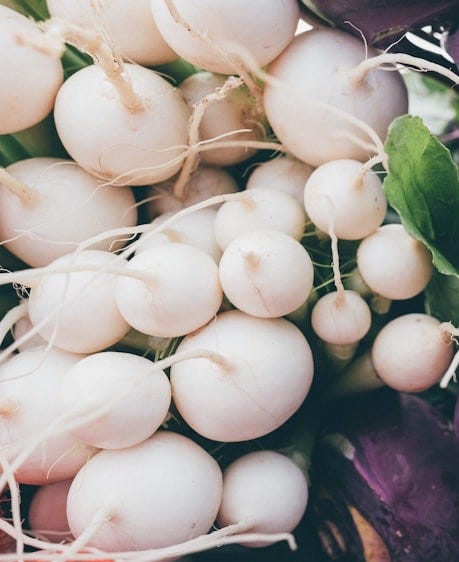 purple onion and white turnip