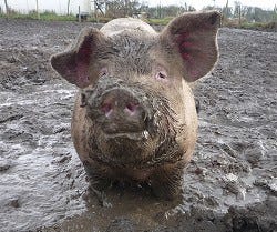 Great Marketing is Not About You ... Hogwash! by Mark Murnahan