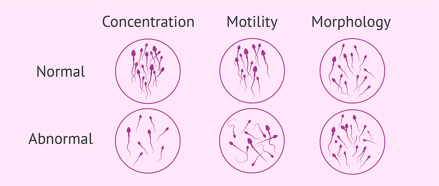 Sperm Test Results Explained - Interpretation & Normal Values