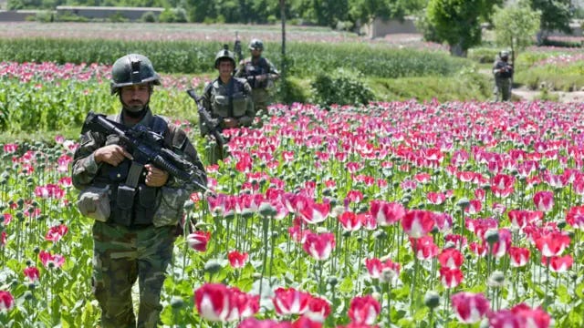 How the US military's opium war in Afghanistan was lost