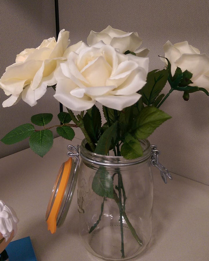 Two side-by-side photos of white roses. The picture on the left is a zoomed in shot of a rose growing by a pipe. The picture on the right shows a bunch of fake roses in a glass jar on an office desk.