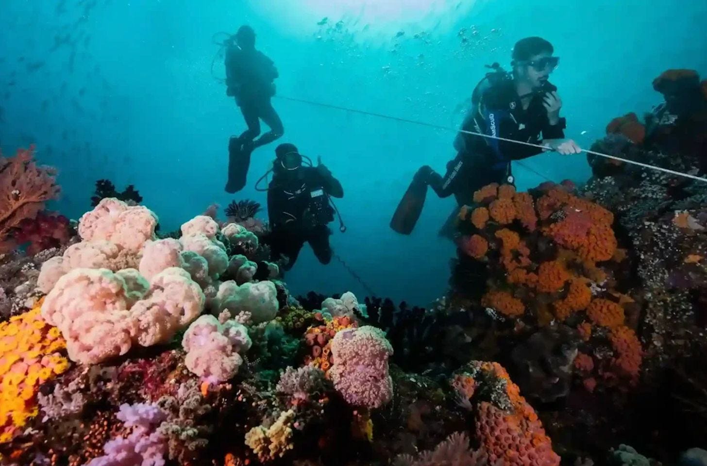 Divers navigating a strong current at The Cauldron dive site in Komodo National Park, Indonesia. Divers navigating a strong current at The Cauldron dive site in Komodo National Park, Indonesia.