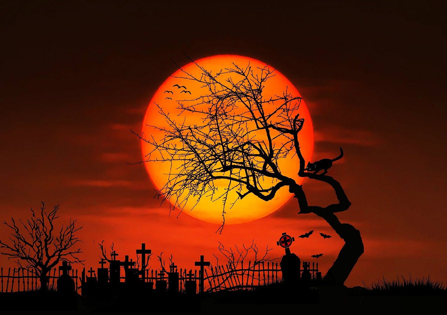 Rare Halloween full moon will shine on Saturday - pennlive.com