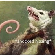 Artwork for Opossum’s Substack