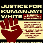 32. When Bots Are Kinder Than Police