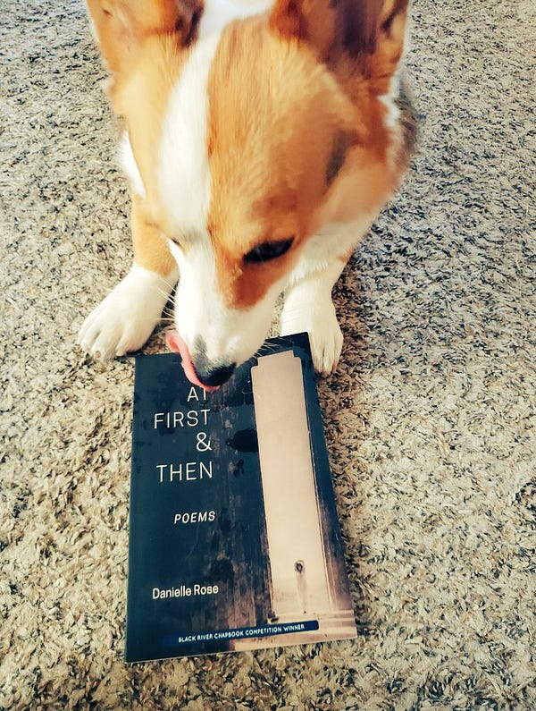 Corgi with Danielle Rose poetry book