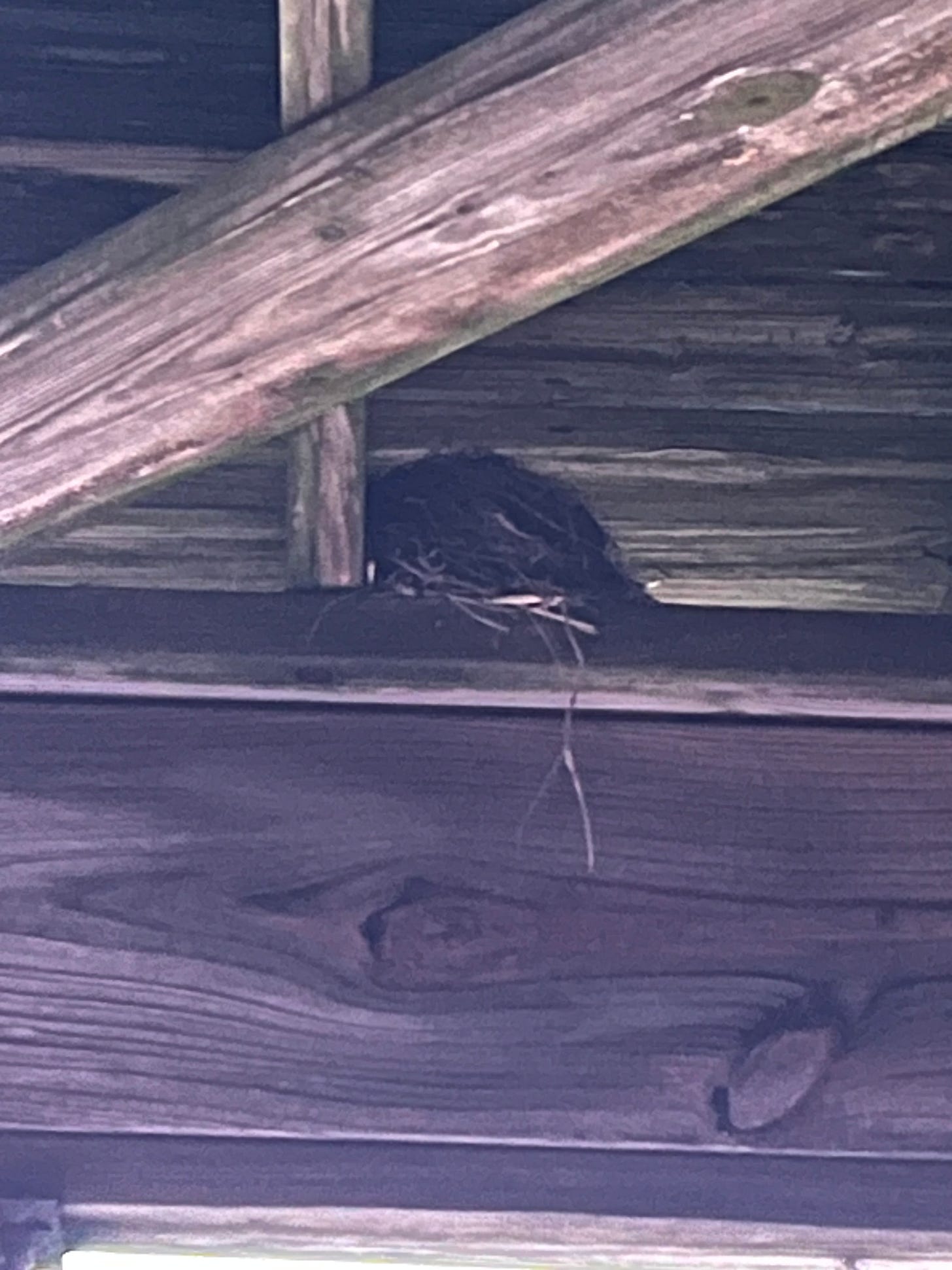 A very blurry photo of a bird  nest beneath an old wooden deck.