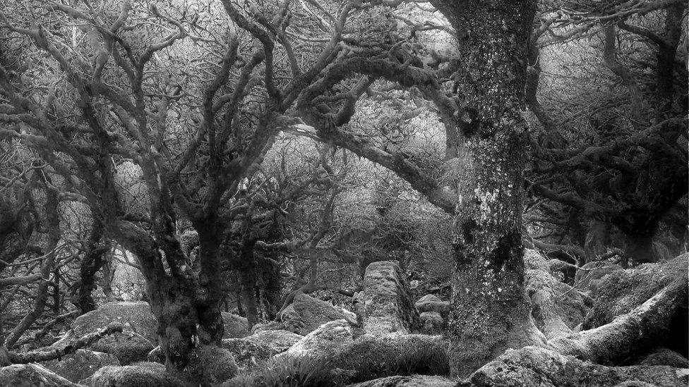 Dartmoor National Park's 'beauty to be promoted' in exhibitions - BBC News