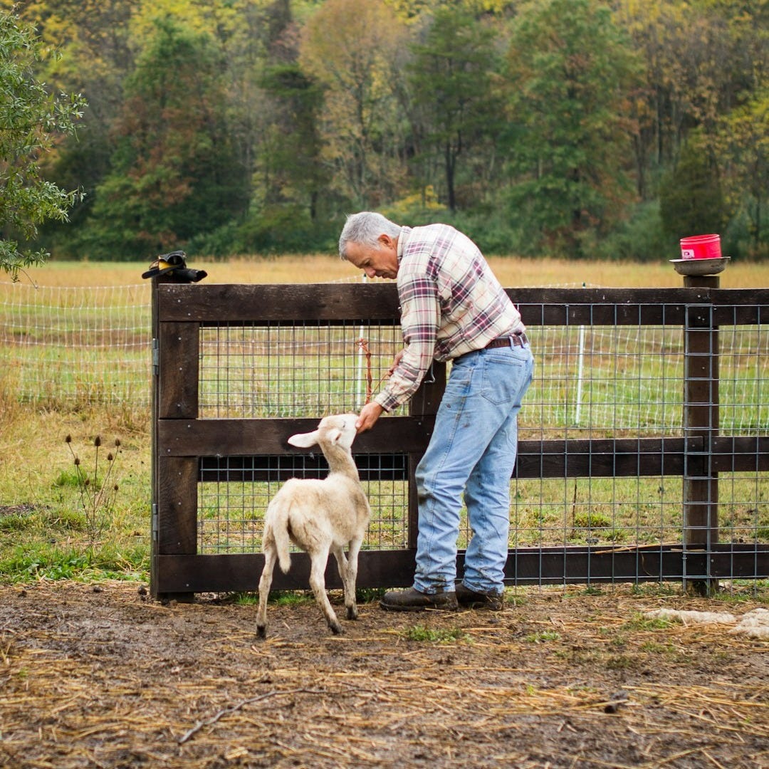 man in blue dress shirt holding white short coated dog during daytime man in blue dress shirt holding white short coated dog during daytime