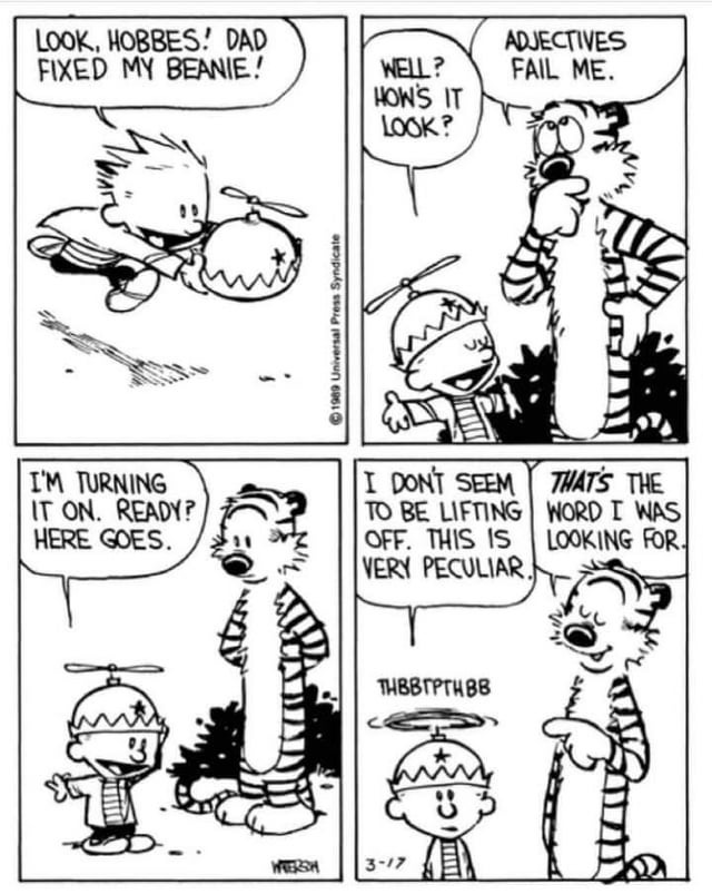 Calvin wearing a hat : r/calvinandhobbes