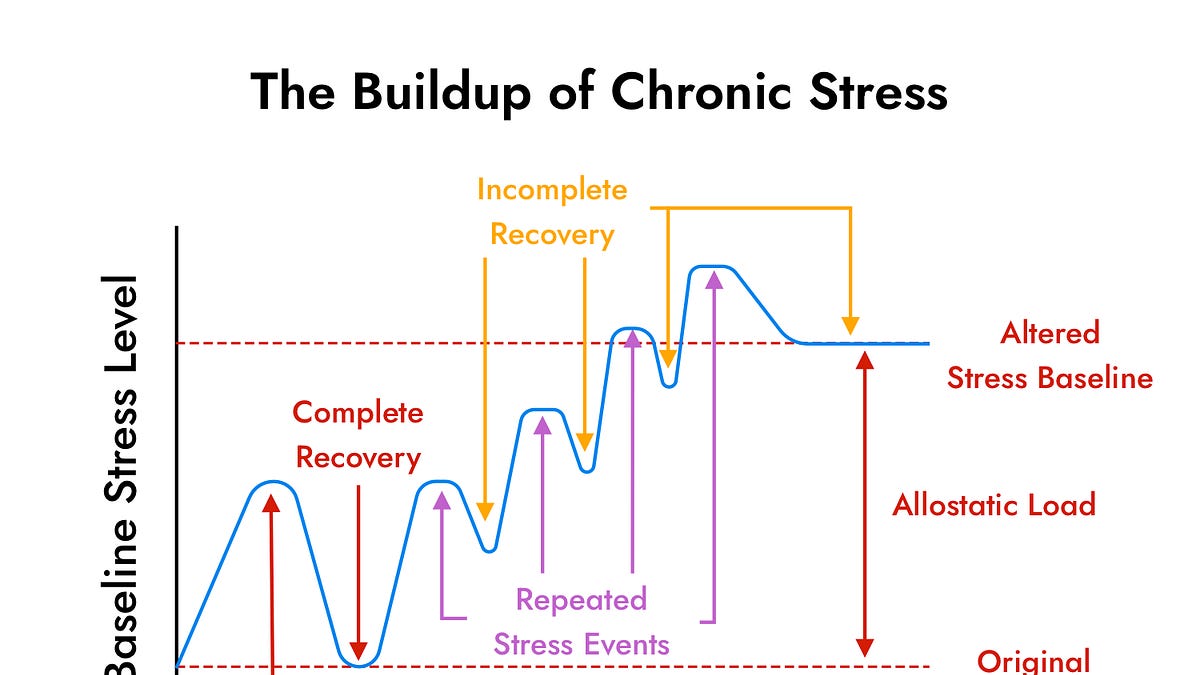 Why Is No One in Wellness Talking About Allostatic Load?