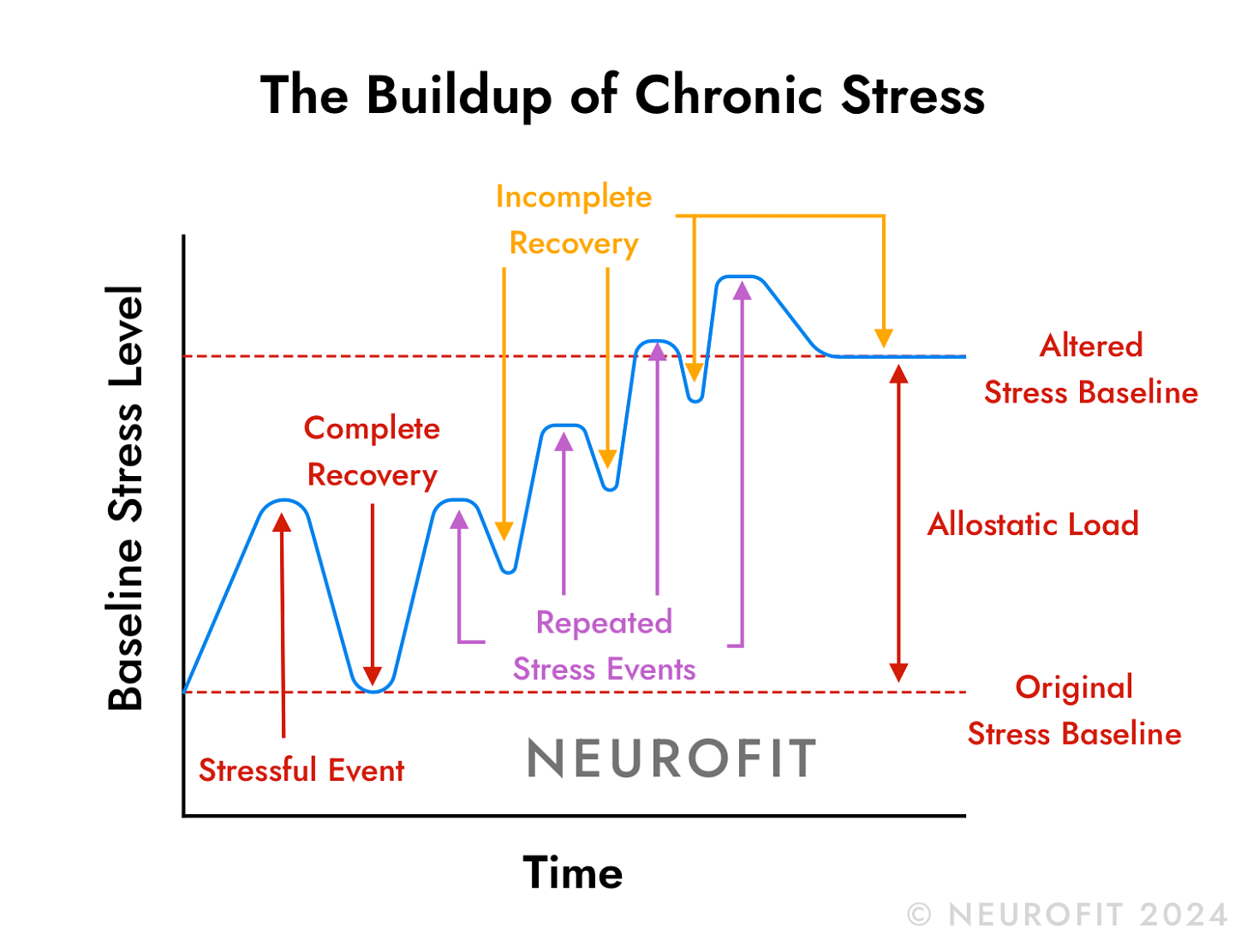 A line graph depicting the buildup of chronic stress over time, leading to an elevated stress baseline in the nervous system, due to repeated exposure to stressful events. A line graph depicting the buildup of chronic stress over time, leading to an elevated stress baseline in the nervous system, due to repeated exposure to stressful events.