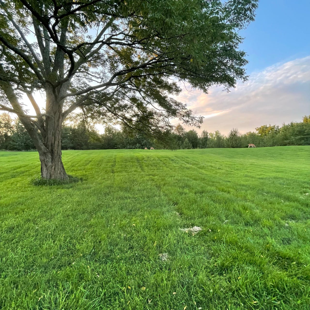 Disentangling Purity Culture