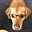 Kate Marsh's avatar