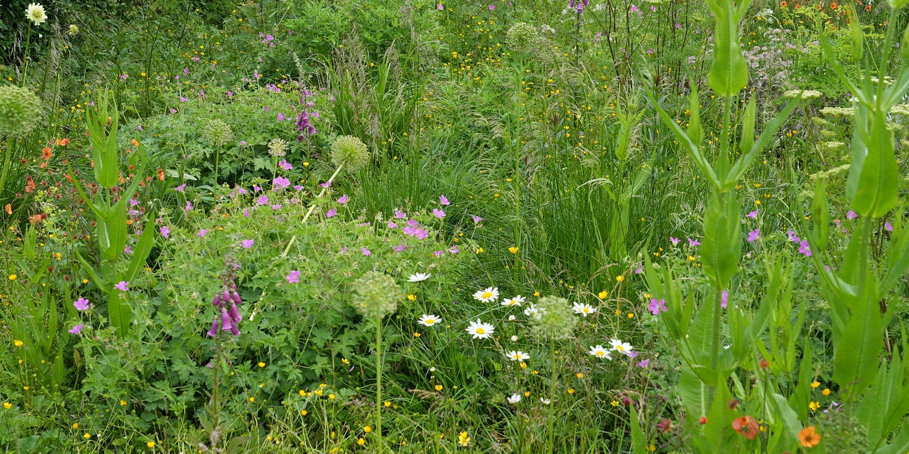 What is plant community design and does it work?