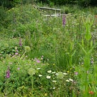 What is plant community design and does it work?
