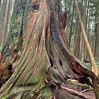 Conference Field Notes from UBC