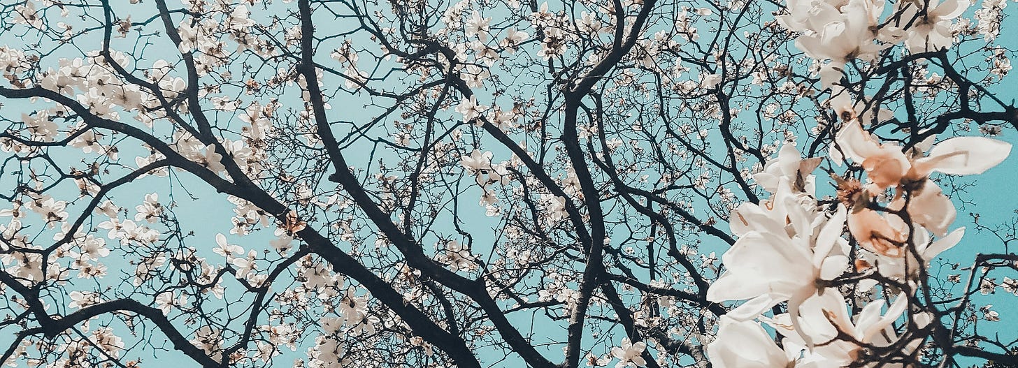 Yearly Cycle Yearly Cycle