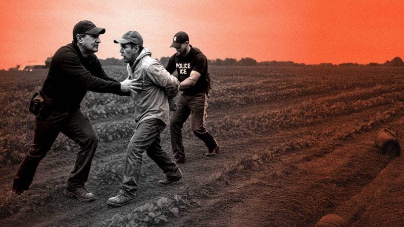 Farmworkers panic as ICE raids California fields