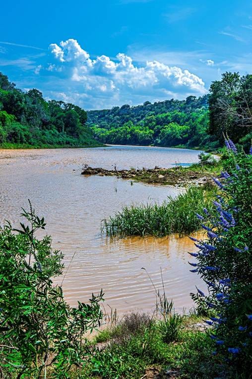 A river with trees and bushes

AI-generated content may be incorrect.