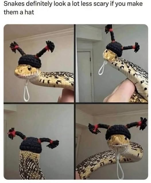 May be an image of 1 person and snake