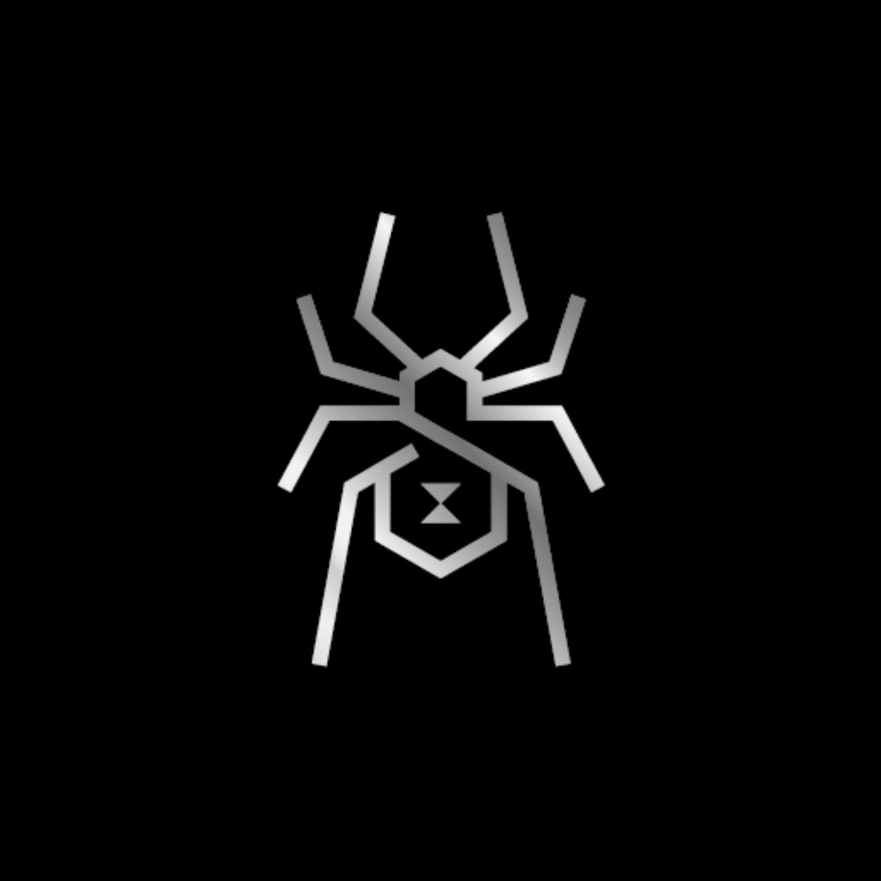 Black Widow Security