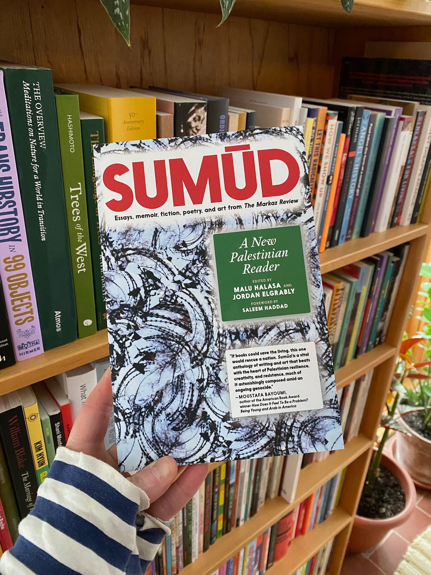 I’m holding up the anthology Sumud in front of a colorful bookshelf.