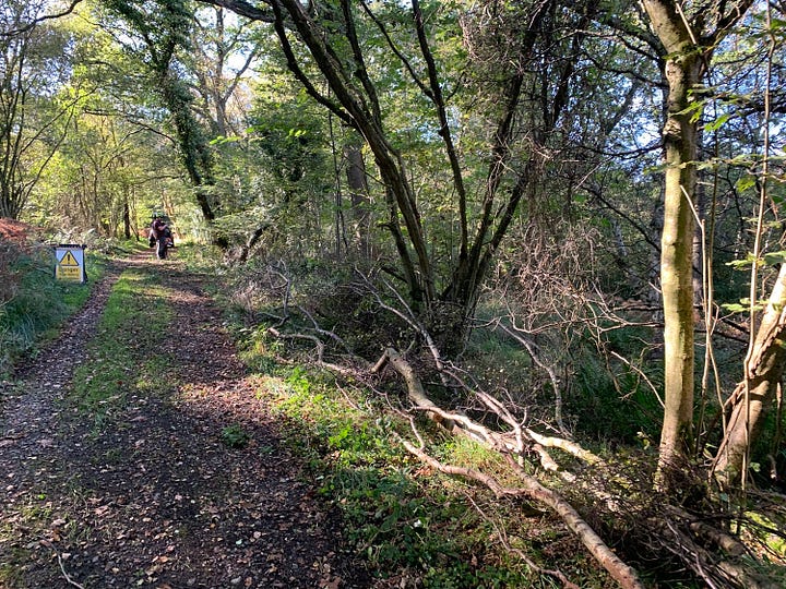 Stack the limbs and brush at the side of the track and your done. Best cleanup job ever.