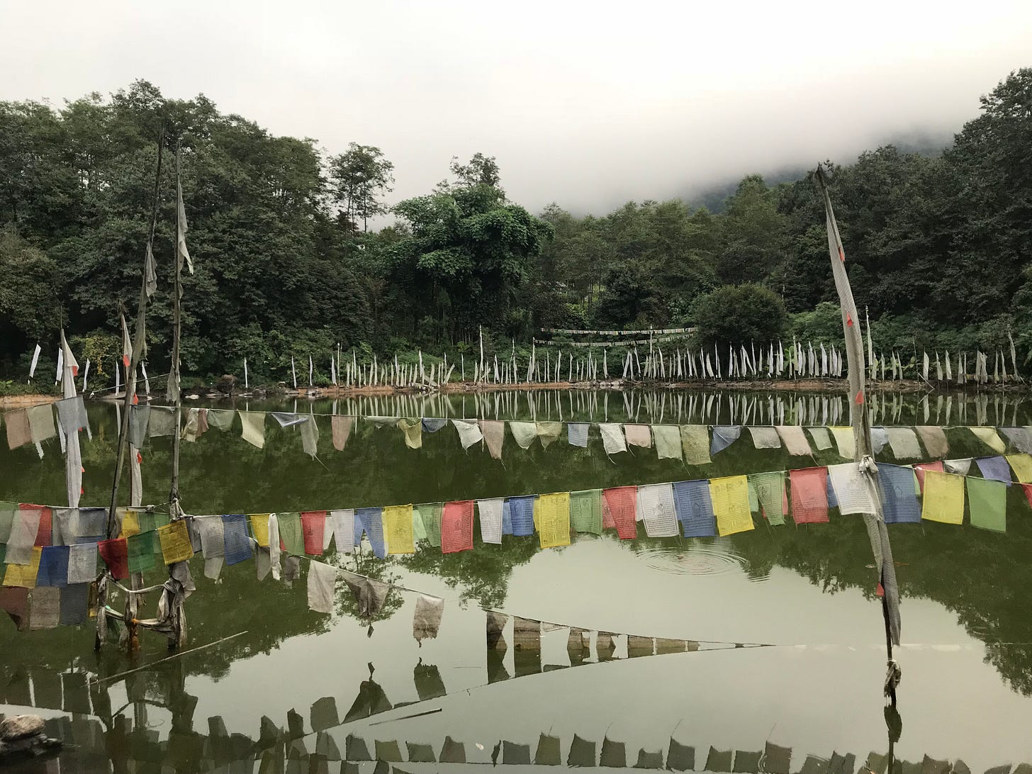 Blawghh | Goecha la trek in Sikkim | Kartok lake, Yuksam Blawghh | Goecha la trek in Sikkim | Kartok lake, Yuksam