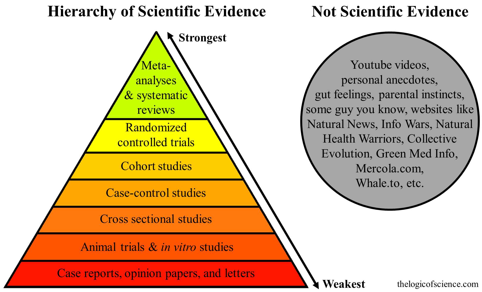 Supplements Questionable Dietary Supplements are not regulated for quality, safety, or efficacy